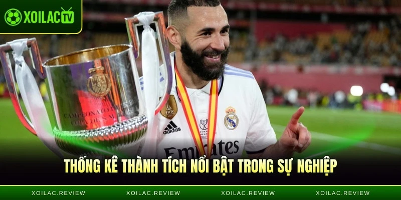 Thống kê thành tích nổi bật trong sự nghiệp The nightmare of French football