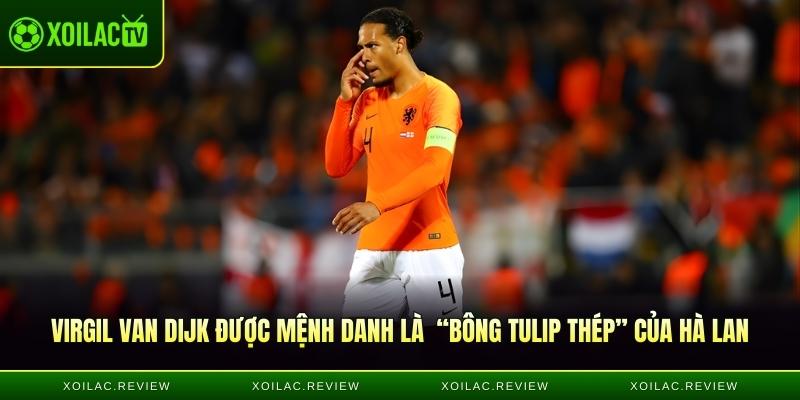 Virgil Van Dijk được mệnh danh là “Bông Tulip Thép” của Hà Lan